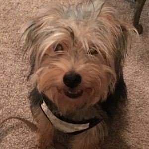 Meet your Posher, Naomi